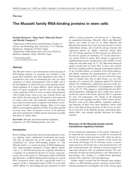 The Musashi Family RNA-Binding Proteins in Stem Cells