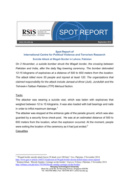 Spot Report of International Centre for Political Violence and Terrorism Research