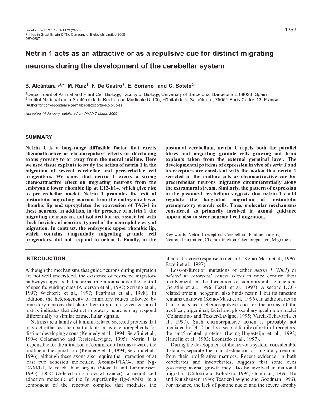 Netrin 1 Guides Neuronal Migration 1361 Previously Hybridised for Netrin 1 Expression, Were Immunolabeled Background Levels