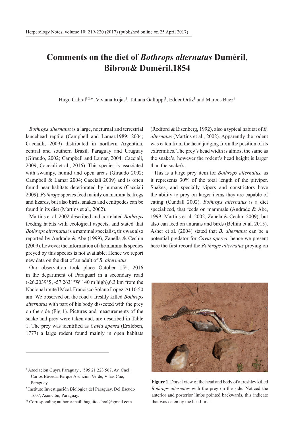 Comments on the Diet of Bothrops Alternatus Duméril, Bibron&