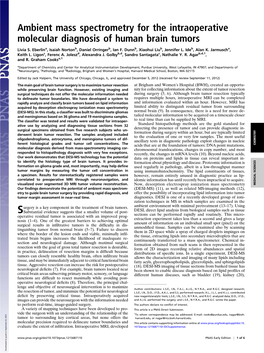 Ambient Mass Spectrometry for the Intraoperative Molecular Diagnosis of Human Brain Tumors