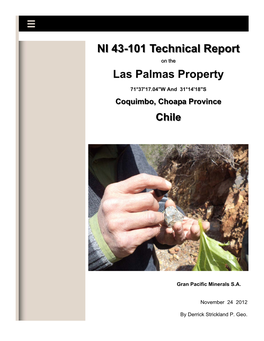 NI 43-101 Technical Report Las Palmas Property