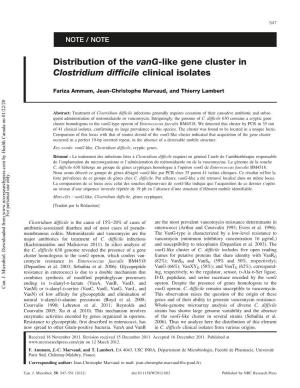 Distribution of the Vang-Like Gene Cluster in Clostridium Difficile Clinical Isolates