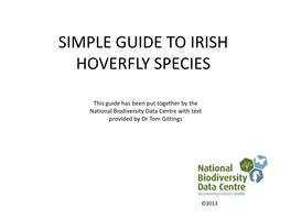 Simple Guide to 4 Irish Hoverfly Species