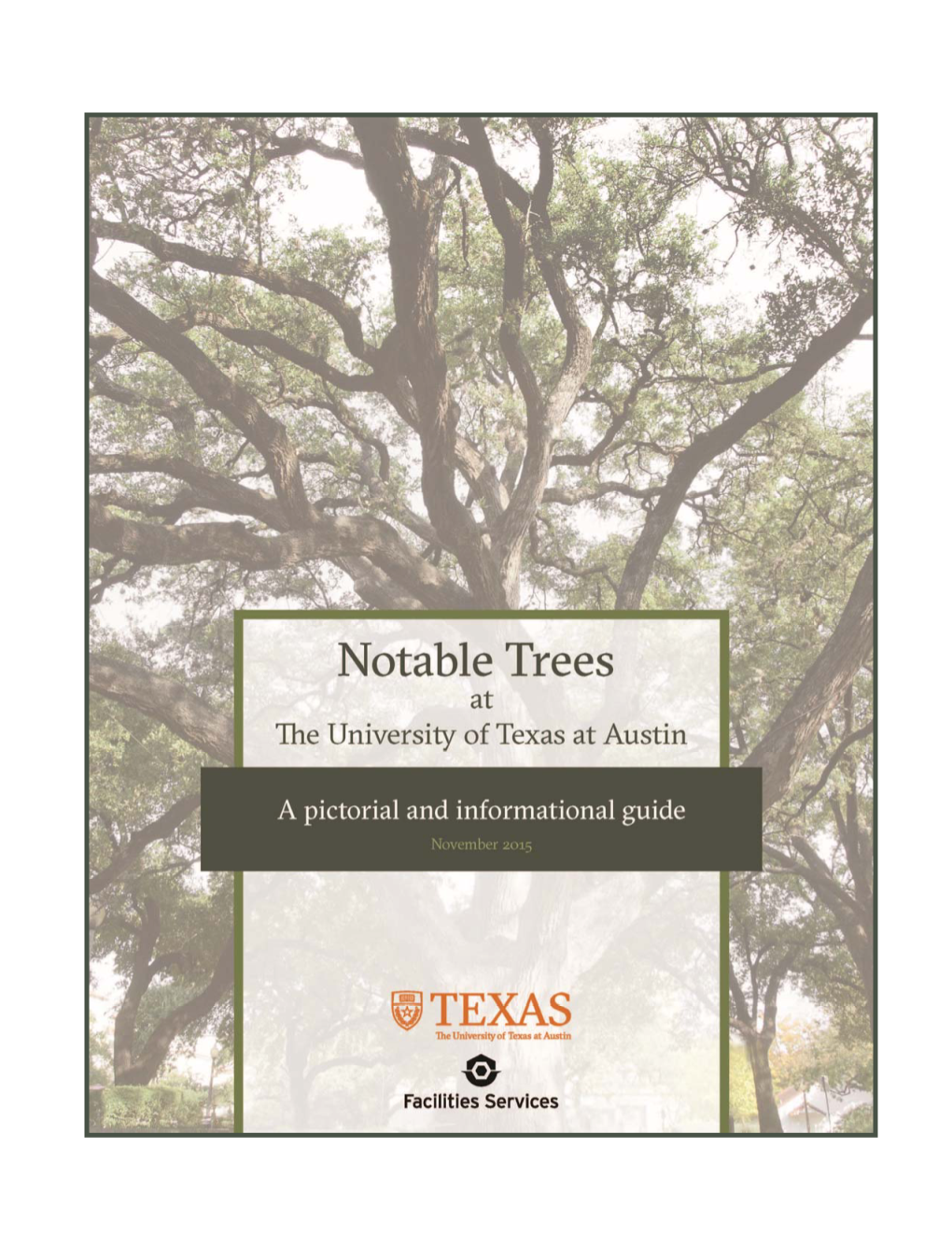 Notable Trees on Campus with This Pictorial and Informational Guide