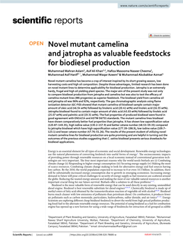 Novel Mutant Camelina and Jatropha As Valuable Feedstocks for Biodiesel