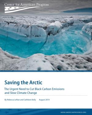 Saving the Arctic the Urgent Need to Cut Black Carbon Emissions and Slow Climate Change