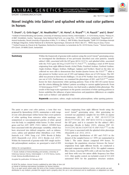 Novel Insights Into Sabino1 and Splashed White Coat Color Patterns in Horses