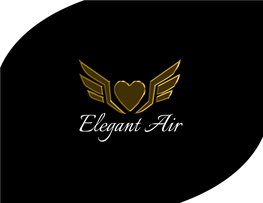 Elegant Air BUSINESS PLAN Executive Summary