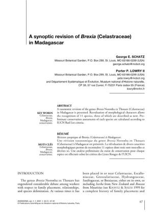 A Synoptic Revision of Brexia (Celastraceae) in Madagascar