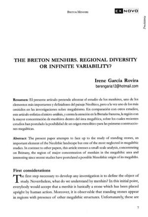 The Breton Menhirs. Regional Diversity Or Infinite Variability?