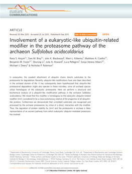 Involvement of a Eukaryotic-Like Ubiquitin-Related Modifier