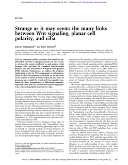 The Many Links Between Wnt Signaling, Planar Cell Polarity, and Cilia
