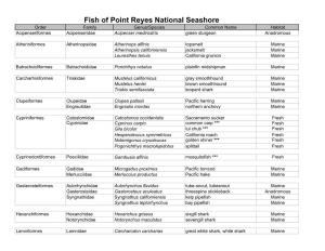 Fish of Point Reyes National Seashore Order Family Genus/Species Common Name Habitat Acipenseriformes Acipenseridae Acipenser Medirostris Green Sturgeon Anadromous