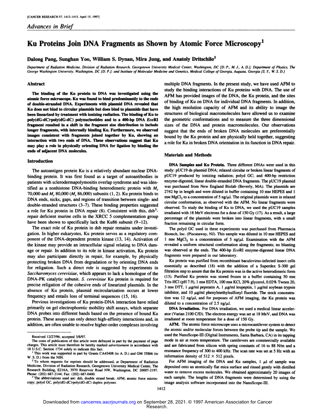 Ku Proteins Join DNA Fragments As Shown by Atomic Force Microscopy1