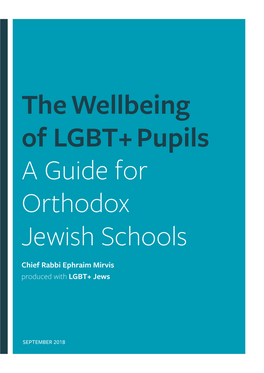 The Wellbeing of LGBT+ Pupils a Guide for Orthodox Jewish Schools