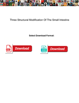 Three Structural Modification of the Small Intestine