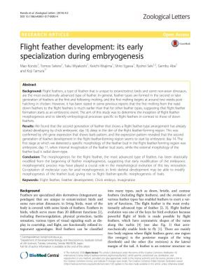 Flight Feather Development