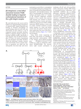 Β6 Integrinosis: a New Lethal Autosomal Recessive ITGB6