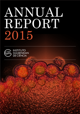 2015 Cover Image Embryonic Germ Cells of Drosophila Melanogaster
