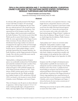 Tipula Paludosa Meigen and T. Oleracea Meigen, European Crane Flies New to the Eastern United States: Potentially Serious Turfgrass and Pasture Pests E