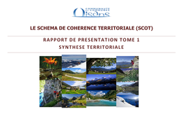 Rapport De Presentation Tome 1 Synthese Territoriale