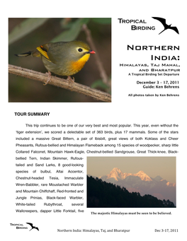 Northern India: Himalayas, Taj Mahal, and Bharatpur a Tropical Birding Set Departure