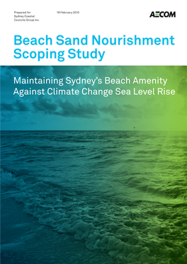 Beach Sand Nourishment Scoping Study