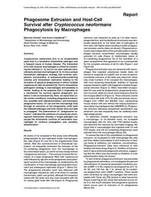 Report Phagosome Extrusion and Host-Cell Survival After Cryptococcus Neoformans Phagocytosis by Macrophages