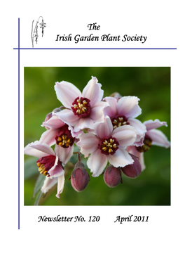 Newsletter 120 April 2011