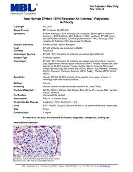 Anti-Human EPHA4 / EPH Receptor A4 (Internal) Polyclonal Antibody