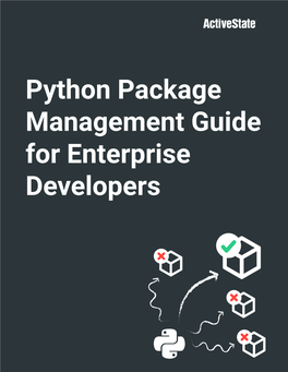 Python Package Management Guide for Enterprise Developers Executive Summary