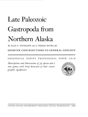 Late Paleozoic Gastropoda from Northern Alaska