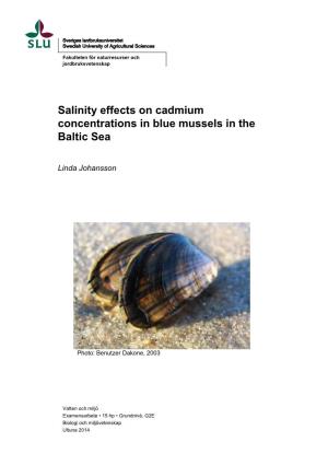 Salinity Effects on Cadmium Concentrations in Blue Mussels in the Baltic Sea