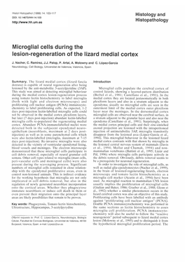 Microglial Cells During the Lesion-Regeneration of the Lizard Medial Cortex