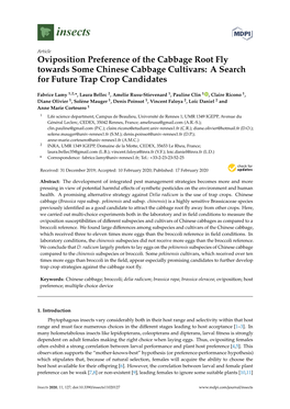 Oviposition Preference of the Cabbage Root Fly Towards Some Chinese Cabbage Cultivars: a Search for Future Trap Crop Candidates