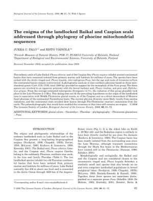 The Enigma of the Landlocked Baikal and Caspian Seals Addressed Through Phylogeny of Phocine Mitochondrial Sequences