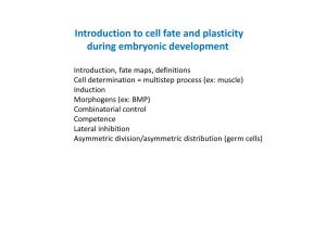 Introduction to Cell Fate and Plasticity During Embryonic Development