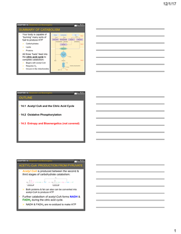 Chapter 14 Slides 2017