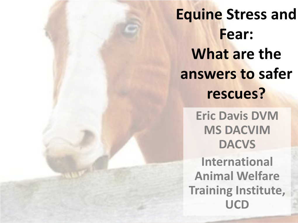 Equine Stress