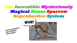 The Incredible Mysteriously Magical House Sparrow Reproductive System