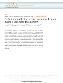 Postmitotic Control of Sensory Area Specification During Neocortical