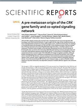 A Pre-Metazoan Origin of the CRK Gene Family and Co-Opted Signaling