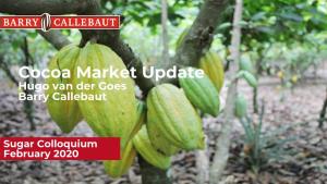 Monthly Cocoa Market Update