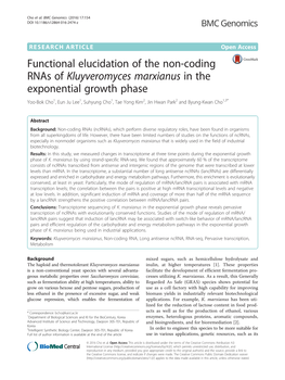 Functional Elucidation of the Non-Coding Rnas Of