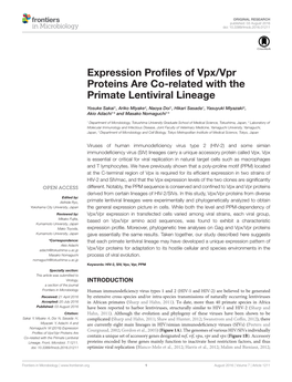 Expression Profiles of Vpx/Vpr Proteins Are Co-Related with The