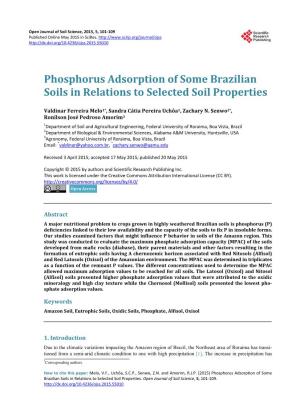 Phosphorus Adsorption of Some Brazilian Soils in Relations to Selected Soil Properties