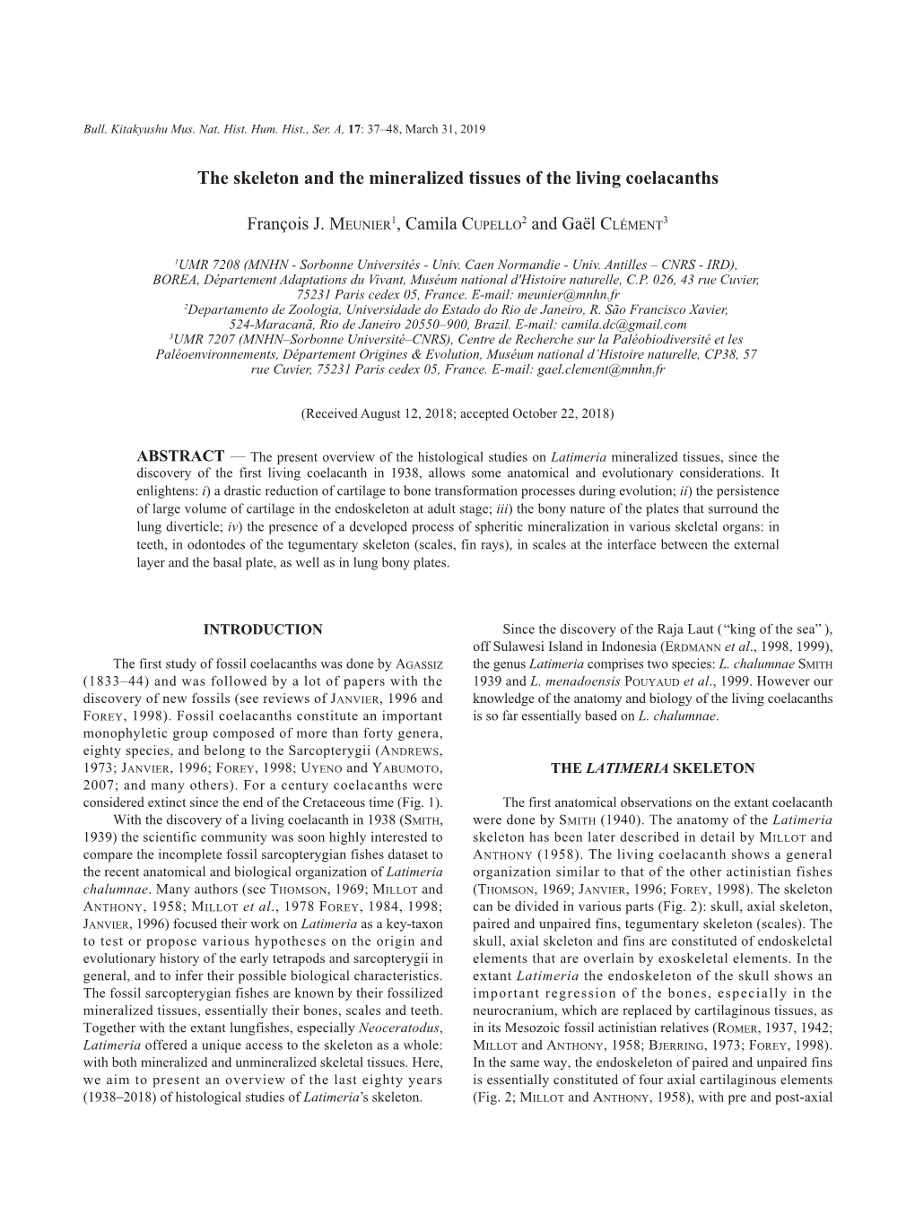 The Skeleton and the Mineralized Tissues of the Living Coelacanths Elements and Eventually Minute Superficial Endochondral 2008)