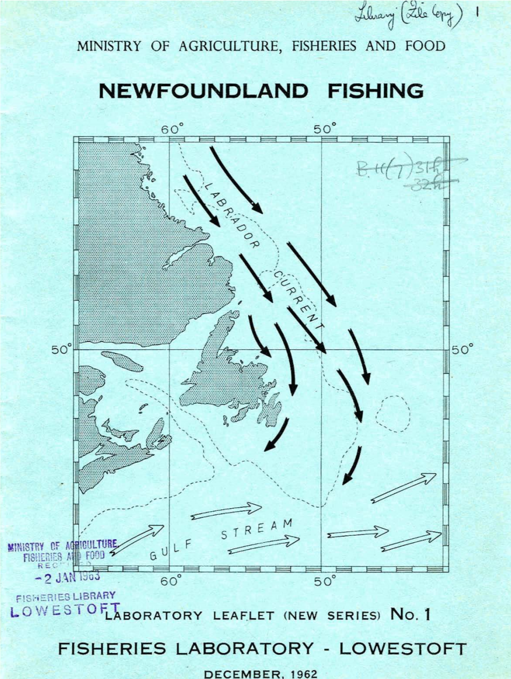 Newfoundland Fishing