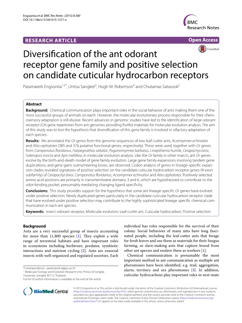 Diversification of the Ant Odorant Receptor Gene Family and Positive